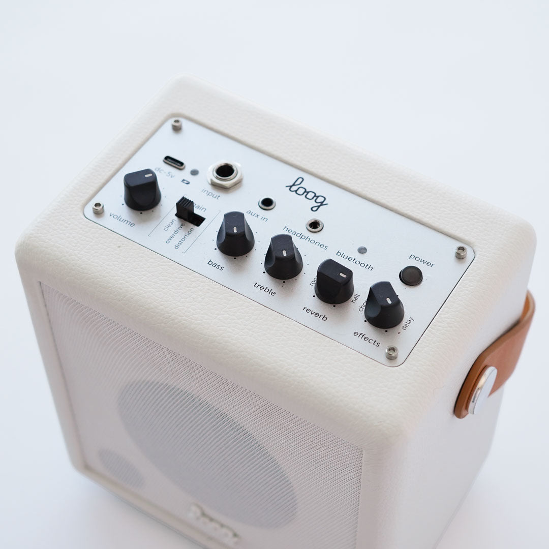 loog mini amp pro