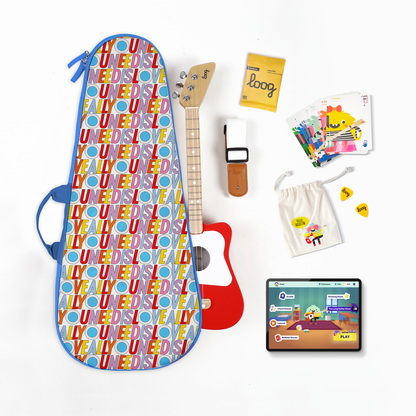 mini acoustic bundle