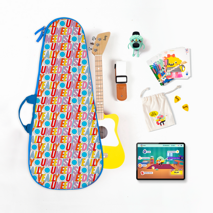 mini acoustic bundle